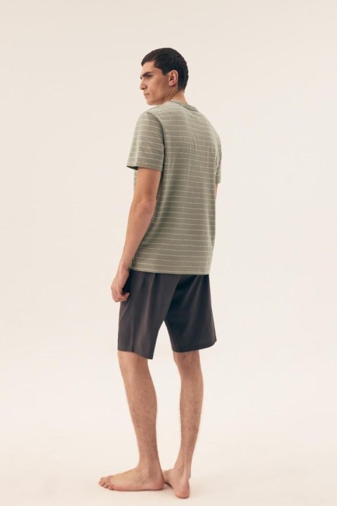 Piżama Męska Model Deli 42635-07X Light Green - Henderson